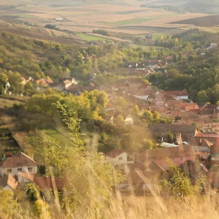 Vendégház Pensiunea Casa Din Vii Sóspatak