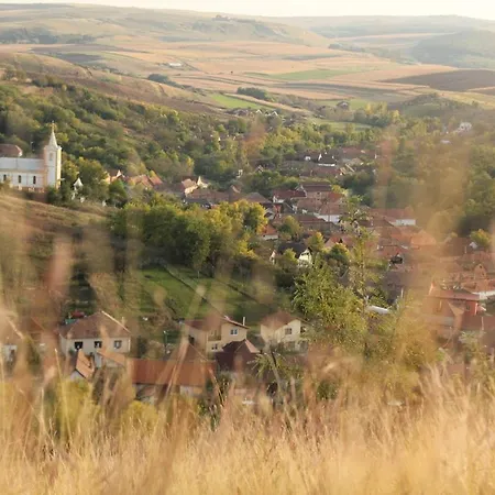 Vendégház Pensiunea Casa Din Vii 3*