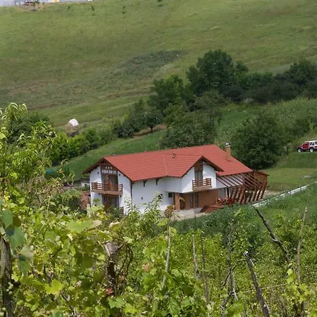 Vendégház Pensiunea Casa Din Vii 3*