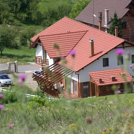 Vendégház Pensiunea Casa Din Vii Sóspatak