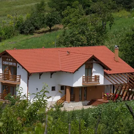 Pensiune Pensiunea Casa Din Vii 3*
